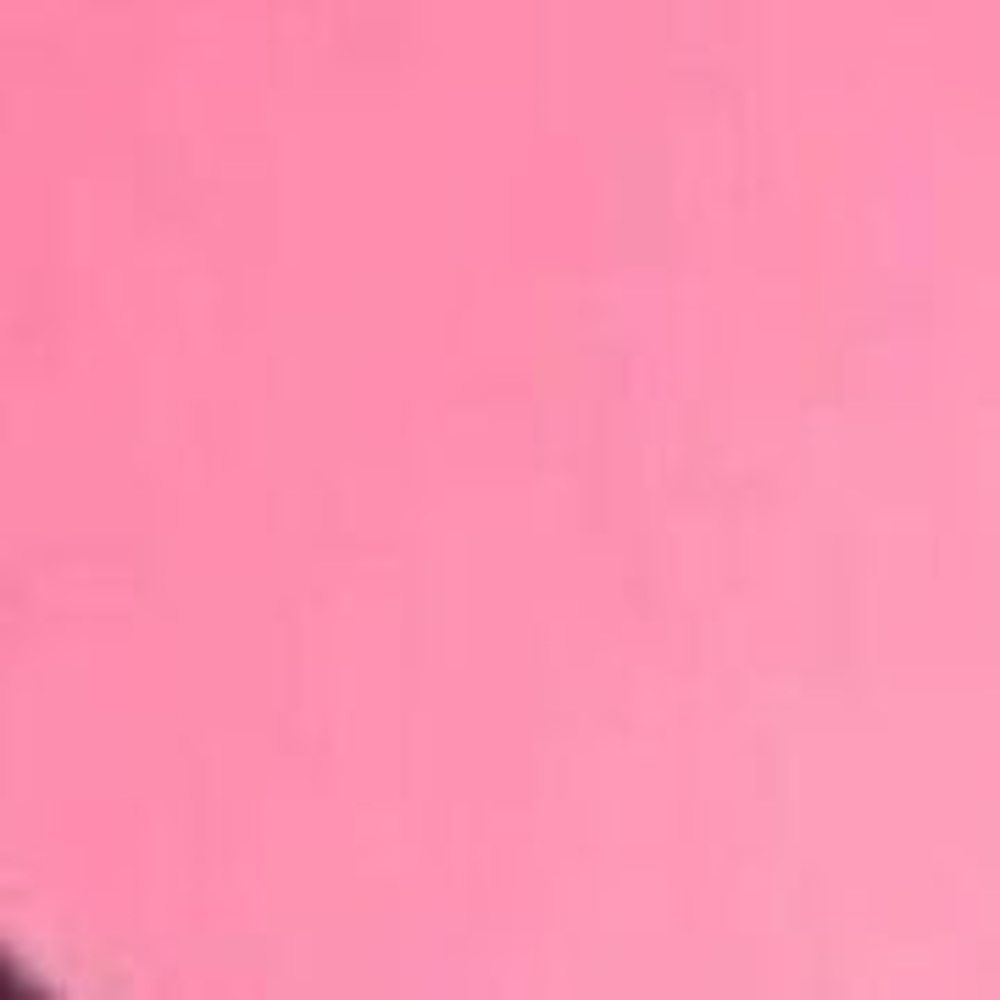 Meet your Posher, Leslie